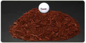 Mulch Suppliers in Hartford CT and The Fantastic Benefits of Mulching