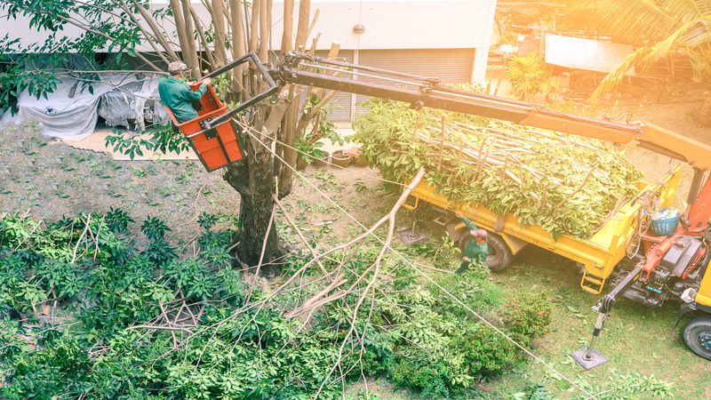 A Basic Guide for Construction Site Cleanup in Honolulu, HI