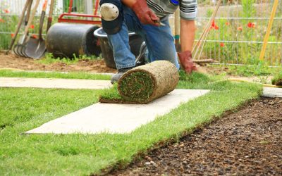 A Local Landscaping Business is Ready to Help You with Sod Installation in Winter Garden, FL