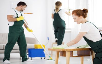 Maid Services in Nashville, TN: Complete Cleaning Solutions for Your Home