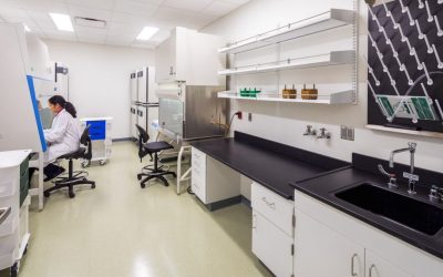 Ensuring Safety and Accuracy with Laboratory Biosafety Cabinet