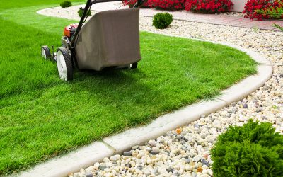 Year-Round Landscape Maintenance Service in Burlington: Professional Care for Every Season