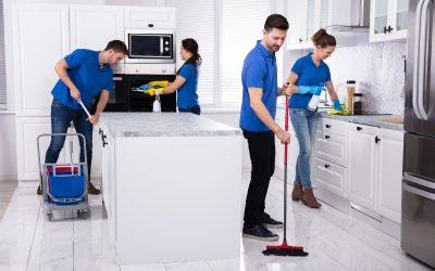 Balancing Busy Lives with Home Cleaning in Allegan, MI