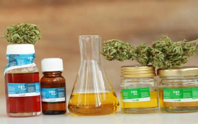 Elevate Your Cannabis Brand: Essential Tips for the SEO Cannabis Industry